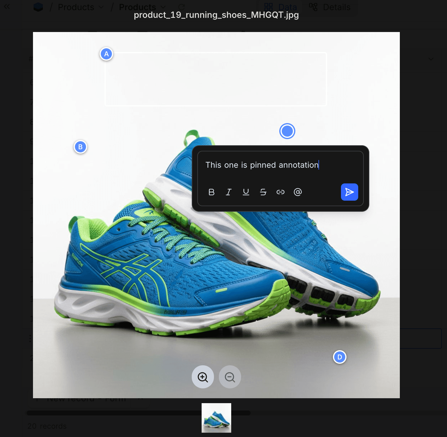 Dropping a pin annotation on an image